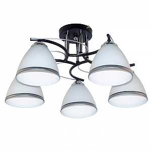 Светильник Айтин-Про НПБ 02-5*60-101 XA1157/5 черный/хром