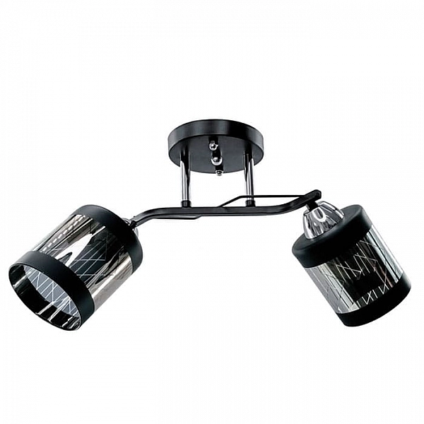 Светильник Айтин-Про НПБ 02-2*60-101 9096/2 черный/хром