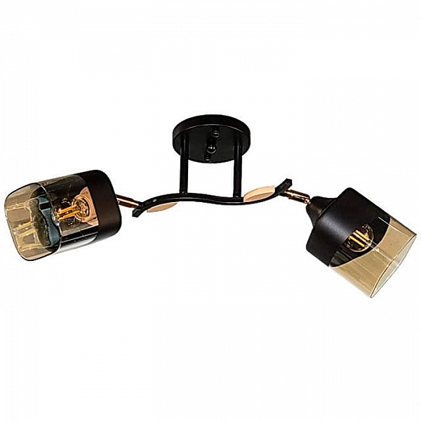 Светильник Айтин-Про НПБ 02-2*60-101 52075/2 черный/золото