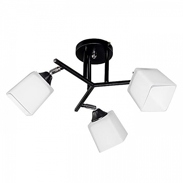 Светильник Айтин-Про НПБ 02-3*60-101 96552/3 черный/хром