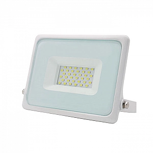 Прожектор TruEnergy Power White 13114 светодиодный 30W 6500K IP65 белый