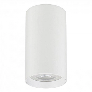 Светильник Truenergy Modern 21310 GU10 D55 мм белый