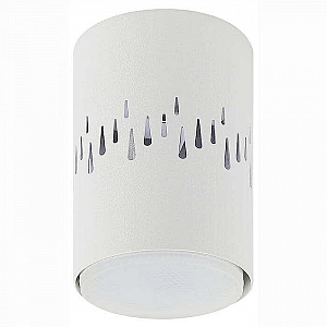 Светильник ЭРА OL11 LD GX53 WH D80 мм подсветка 1W настенно-потолочный спот белый