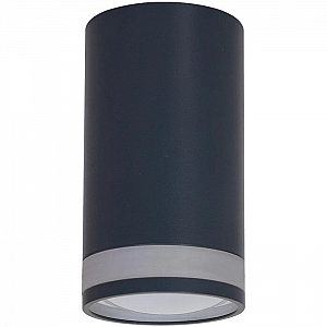 Светильник Truenergy Modern 21304 с матовым кольцом под лампу GU10 D55*Н100 мм IP20 алюминий черный