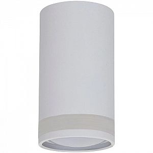 Светильник Truenergy Modern 21305 с матовым кольцом под лампу GU10 D55*Н100 мм IP20 алюминий белый