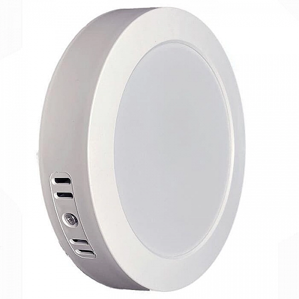 Светильник светодиодный Truenergy Electro 10105 15W 4000K IP40 накладной круглый