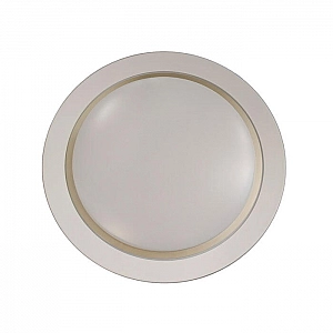 Светильник светодиодный Zhong Lighting Limited HY61187 2*60Вт золото
