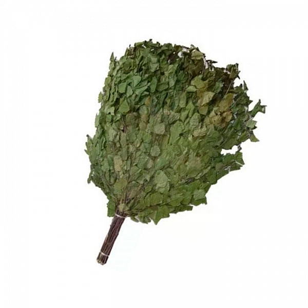 Веник березовый банный