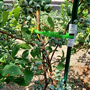 Хомут для подвязки растений Остров Комфорта ПАР-28 многоразовый 2.5*200 мм 100 шт. Изображение - 2