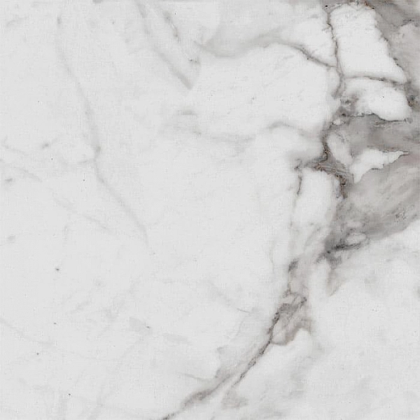 Керамогранит Royce Carrara Betria PR1005 600*600 мм polished