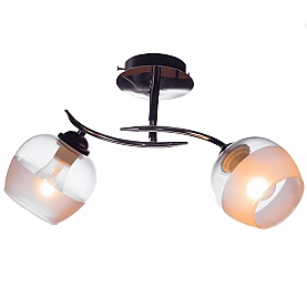 Светильник Айтин-Про НПБ 02-2*60-101 70162/2 хром/черный