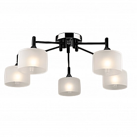 Светильник Айтин-Про НПБ 02-5*60-102 A4412/5 черный/хром