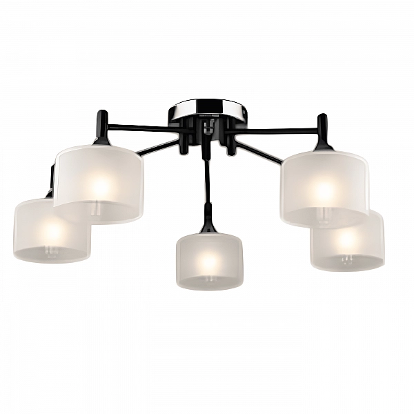 Светильник Айтин-Про НПБ 02-5*60-102 A4412/5 черный/хром